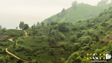 نمای اطراف روستای کوهستانی آبچالکی - عکاسی کسری و حورا